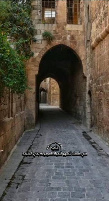 مشروع استثماري سياحي فندق مطعم  - صورة 4