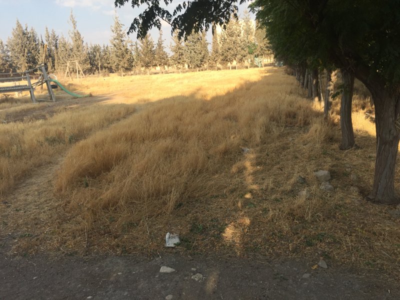 للبيع أرض بأشرفية صحنايا - صورة 2